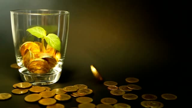 Goldmünzen-in-Glas-Jar-und-grüne-Blatt-sprießen-auf-schwarzem-Hintergrund.-Rotierende,-Verdrehung,-wirbelnden,-Spinnerei-Penny.