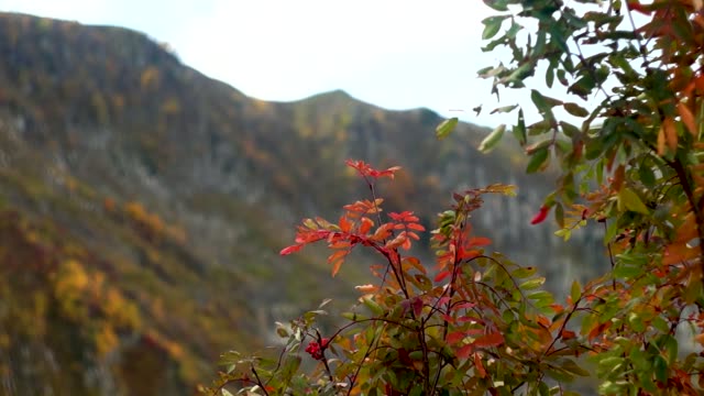 Autumn-in-the-mountains