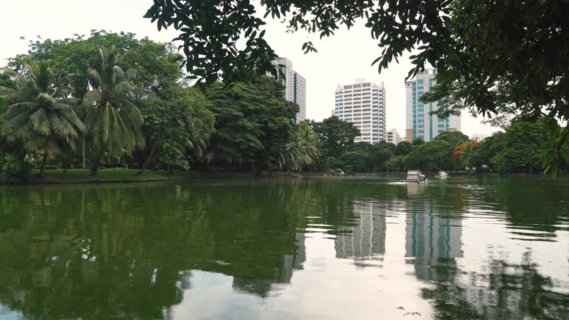Lago-en-un-gran-parque-verde-en-el-centro-de-metrópolis.-Altos-árboles-y-rascacielos,-la-naturaleza-y-el-área-urbana-vecindario