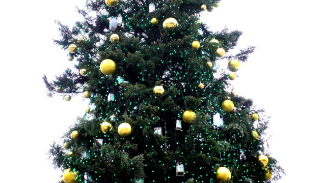 Decorated-Christmas-tree-in-Kiev.
