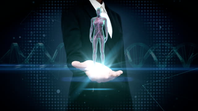 Businesswoman-open-palm,-Rotating-Female-Human-cardiovascular-system,-blood-system.