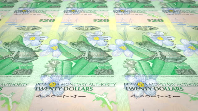Banknotes-of-twenty-bermudian-dollars-of-Bermuda-rolling,-cash-money