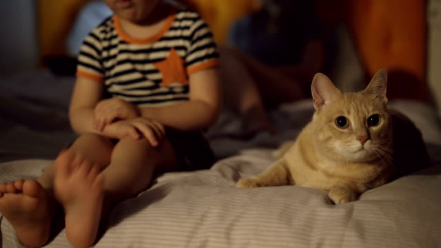 Gelangweilt-kleine-Junge-aufgewirbelt-auf-Bett-mit-Katze-während-seiner-Eltern-Surfen-Laptop-Computer-vor-dem-schlafen