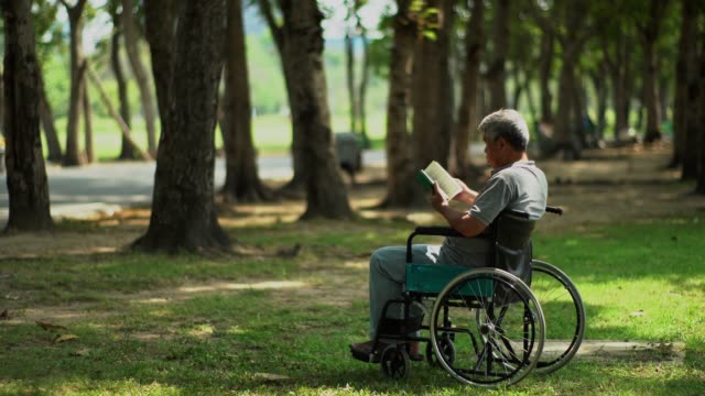 Little-girl-and-grandfather-with-wheelchair-in-park