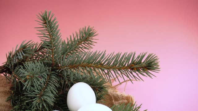 Huevos-de-Pascua-sobre-un-fondo-rosado-con-una-ramita-de-abeto