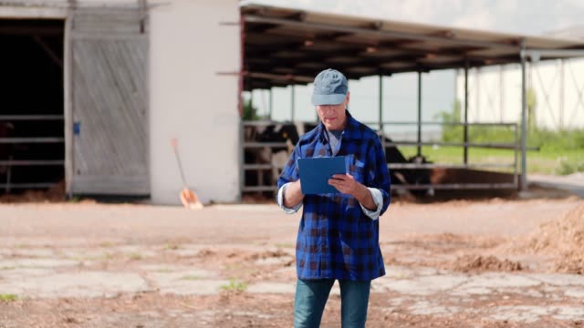 Negocio-agrícola.-Granjero-usando-la-tableta-digital-mientras-mira-las-vacas