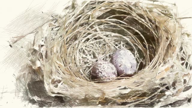 drawing-color-of-egg-on-bird-nest