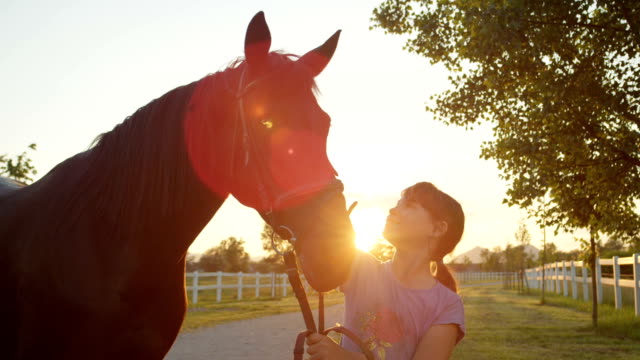 CLOSE-UP:-Cute-cheerful-little-girl-petting-beautiful-big-brown-horse-at-sunset