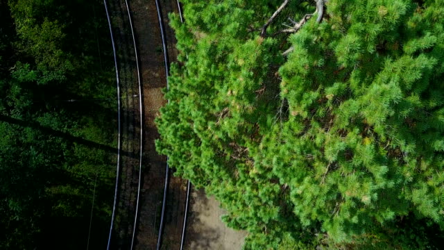 Vertical-top-view-on-The-tram-in-the-green-forest.-Drone-flight
