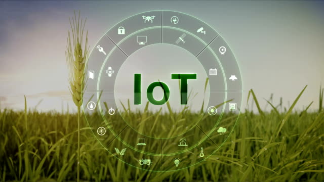 IoT-Technologie-in-der-Runde-Symbol-"Grafik",-intelligente-Landwirtschaft,-Smart-Farming,-Internet-der-Dinge.-4.-industrielle-Revolution.-4-k-Größe.