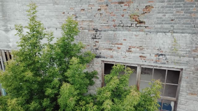 Ruins-of-abandoned-old-broken-industrial-factory.