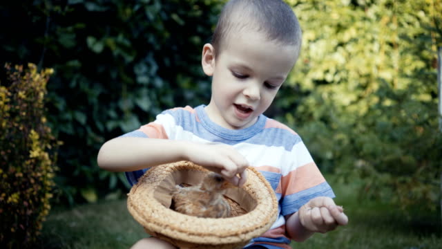 footage-farm-boy-holding-a-small-chick-in-the-hands-outdoor.