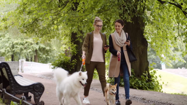 Mujeres-propietarias-de-perros-que-usan-dispositivos-en-el-parque