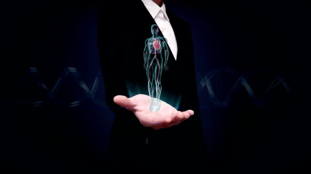 Businesswoman-offene-Handfläche,-Rotierendes-menschliches-Herz-Kreislauf-System,-blaues-Röntgenlicht.