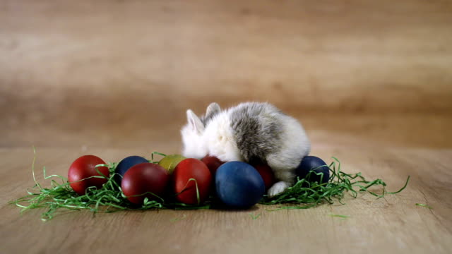 Manos-de-mujer-están-poniendo-conejo-en-un-huevos-de-Pascua