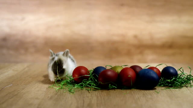 Feliz-Pascua-de-resurrección.-Lindo-conejito-está-jugando-cerca-de-los-huevos-pintados