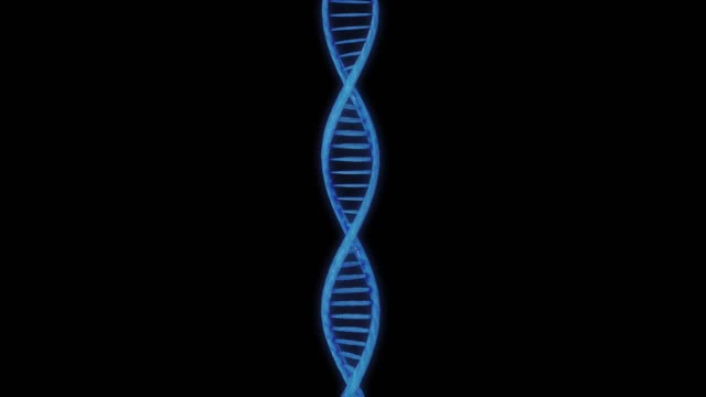 DIGITALE-DNA
