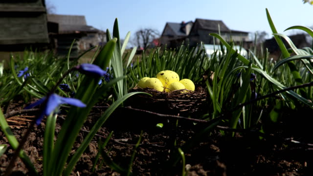 Huevos-amarillos-en-nido.-Concepto-de-Pascua