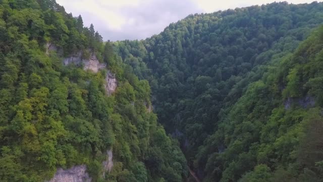 Drone-flight-in-a-beautiful-mountain-gorge-covered-with-forest.