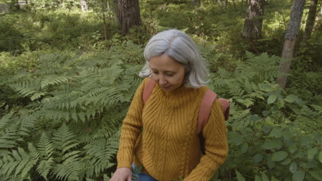 Woman-Going-through-Fern-in-Woods