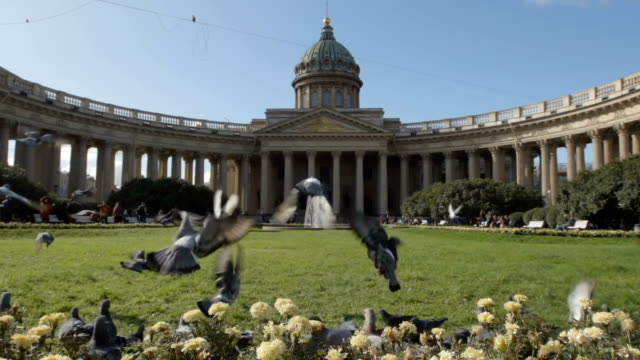 Parvada-de-palomas-volando-a-la-Catedral-de-Kazan,-lenta---St.-Petersburg,-Rusia