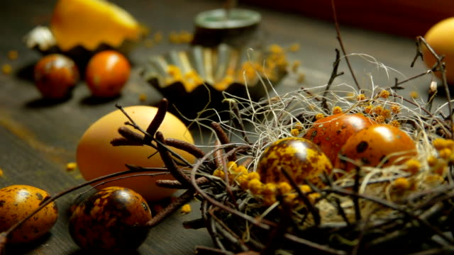 Panorama-of-yellow-colored-quail-eggs-are-laid-in-the-Easter-nest