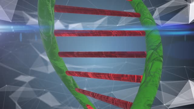 Molécula-de-hélice-de-ADN-de-la-célula-de-vástago-para-la-ingeniería-médica-genética-biotecnología