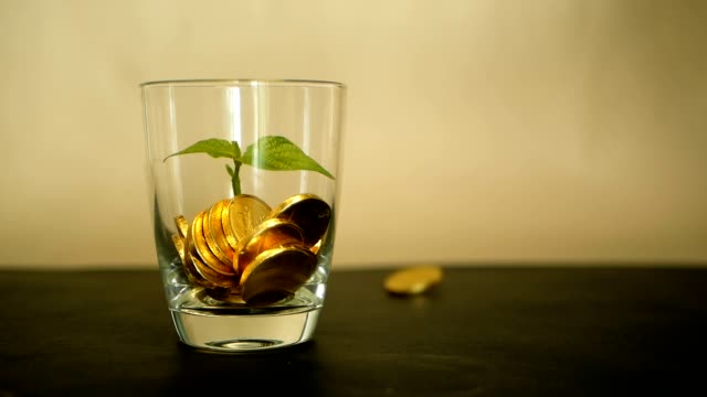 Golden-coins-in-glass-jar-and-green-leaf-of-sprout-on-black-background.-Rotating,-twisting,-swirling,-spinning-penny.