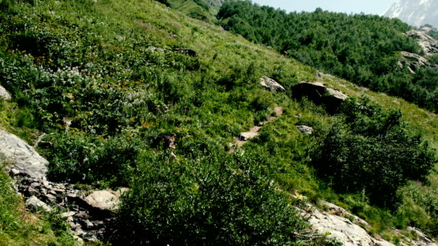 Frau-Kletterer-Wanderer-Touristen-mit-einem-Rucksack-in-die-Wanderung-geht-entlang-der-Route-vor-dem-Hintergrund-der-schönen-Berglandschaft,-Bewegung-der-Kamera