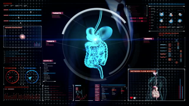 Businessman-touching-digital-screen,-scanning-internal-organs,-Digestion-system.