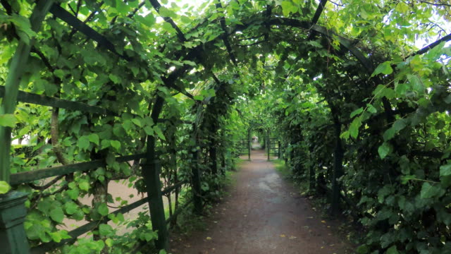 Green-rooms-Summer-Garden