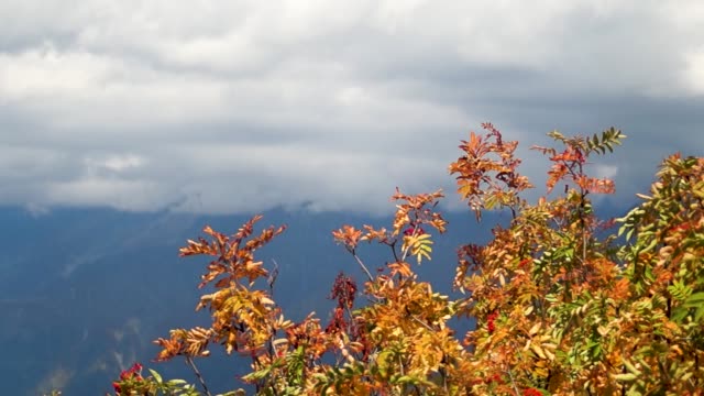 Herbst-in-den-Bergen