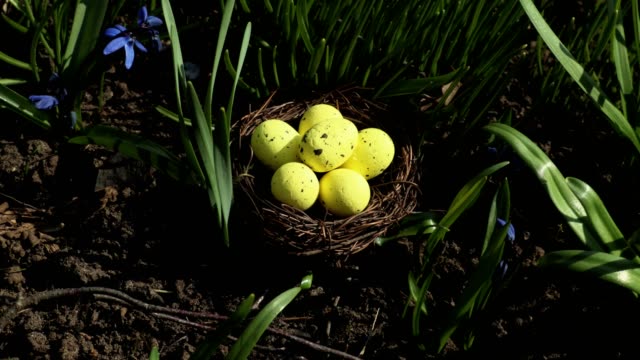 Gelbe-Eier-im-Nest-auf-grünem-Gras.-Osterkonzept