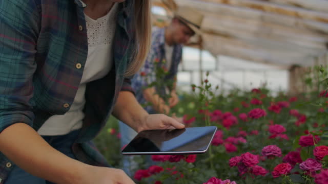 Eine-Frau-mit-einer-Tablette-untersucht-die-Blüten-und-drückt-ihre-Finger-auf-den-Tablet-Bildschirm.-Blumenzucht-Betrieb-überprüfen-Blumen-im-Gewächshaus.