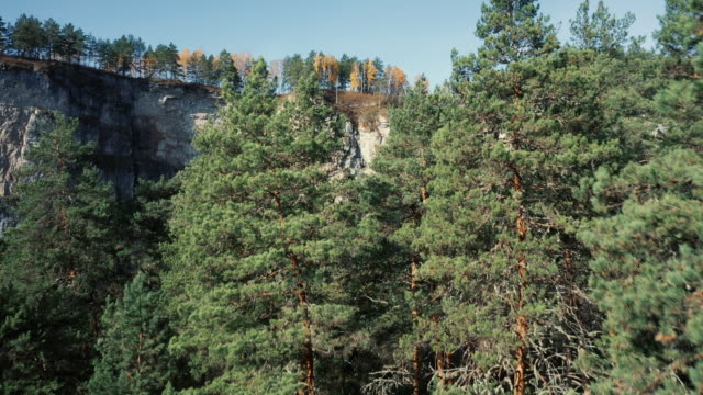 Aerial-view-of-mixed-forest-and-high-cliffs