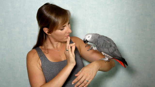 CLOSE-UP:-Portrait-of-African-grey-parrot-sitting-on-owner's-hand-and-waving