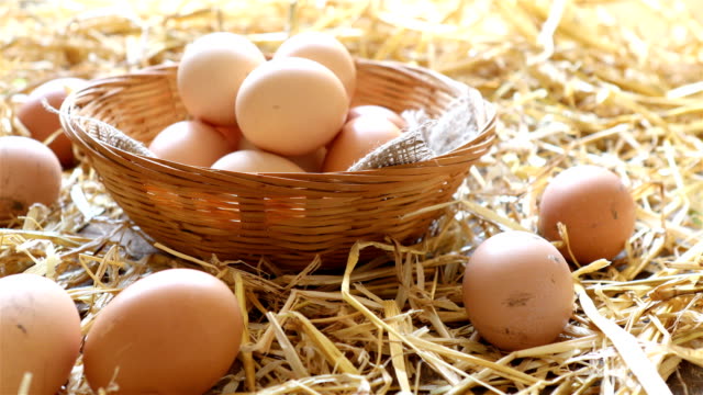 Fresh-organic-eggs-in-a-basket