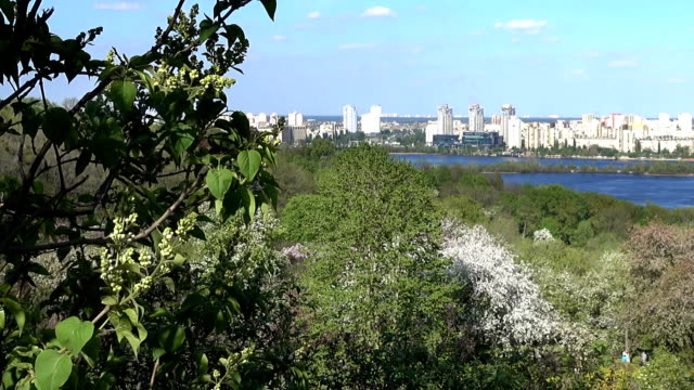 View-of-Kiev-and-Dnieper-from...