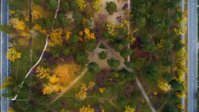 Quadcopter-flies-over-the-autumn-city-park-colored-trees-from-top-bird-view
