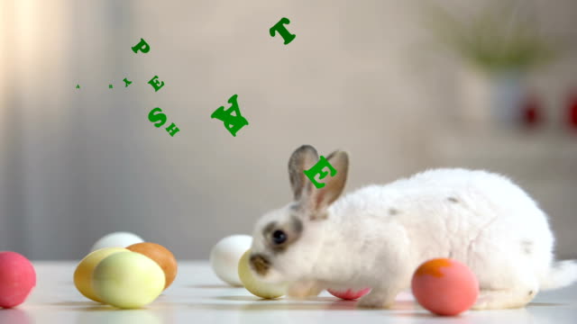 Happy-Easter-Inschrift,-pelzigen-Hase-mit-gefärbten-Eiern-auf-Tisch,-Grußkarte