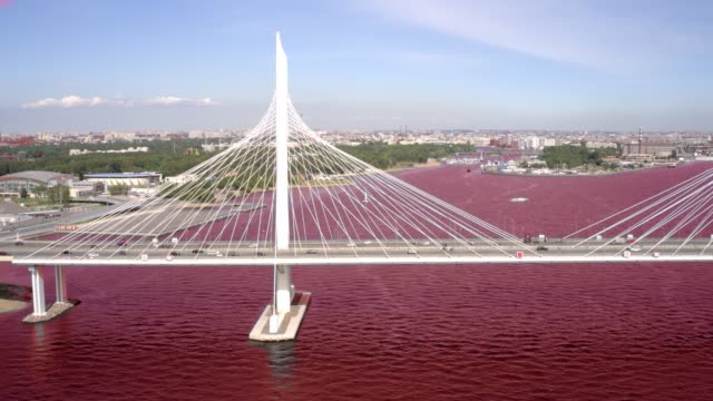 TimeLapse-of-the-cable-stayed-bridge-across-the-Petrovsky-fairway-of-the-western-high-speed-diameter.-St.-Petersburg.-Russia.-Concept-of-blood-river