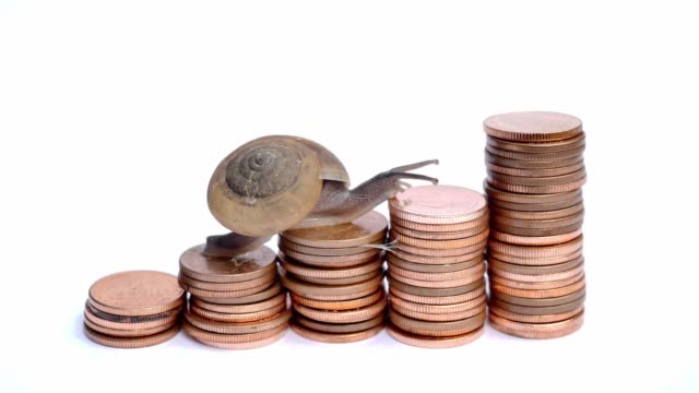 Brown-snail-climbing--the-pile-of-copper-coins-on-white-background