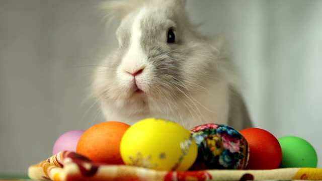 Easter-Bunny-with-Easter-eggs