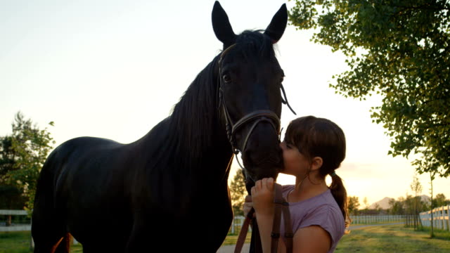 CLOSE-UP:-Charmante-glückliches-kleines-Mädchen-küssen-schöne-große-braunes-Pferd-bei-Sonnenuntergang