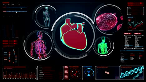 Escáner-de-vasos-sanguíneos,-linfáticos,-corazón,-sistema-circulatorio-en-pantalla-digital
