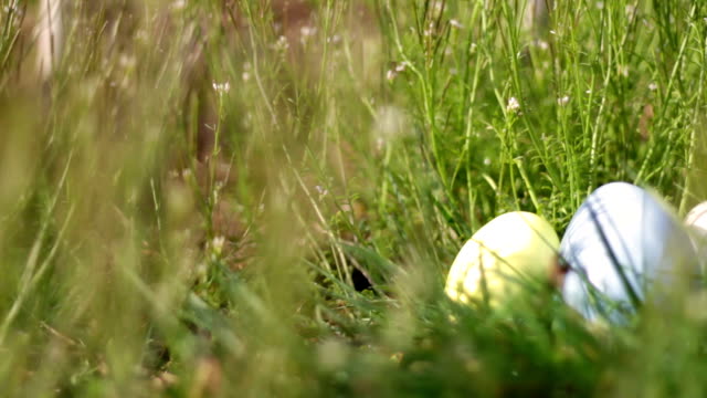 Nido-de-huevos-de-Pascua-sentado-en-soleado-campo-de-hierba-en-la-mañana-de-Pascua