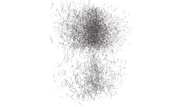 3D-Drahtmodell-Spin-schwarz-und-montieren-in-einem-3d-Bitcoin-Symbol-und-Dollar-Baum.-4-k-sauber-3D-Animation-auf-weißem-Hintergrund