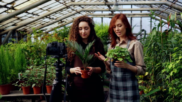 Smiling-girls-bloggers-and-gardeners-in-aprons-are-holding-flowers-and-talking-while-recording-video-blog-for-online-vlog-about-gardening-with-camera-on-tripod.