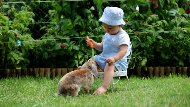 Lindo-bebé-niño,-niño-alimentación-conejito-con-zanahorias-en-el-parque,-al-aire-libre