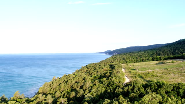Fotografía-aérea,-mar-azul,-bosque-verde-y-camino-de-tierra.